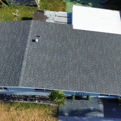 Shingle Roof